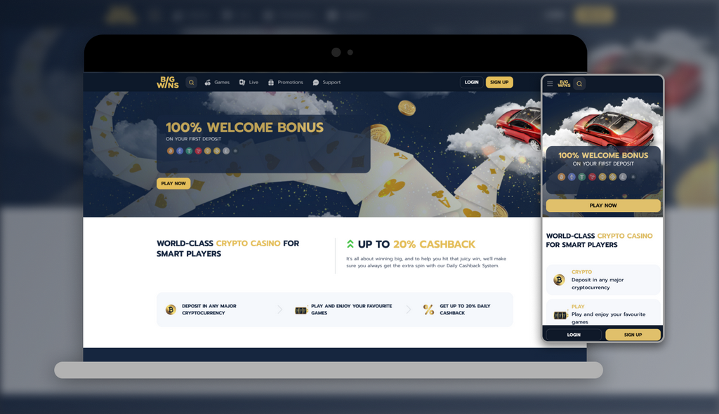 BigWins 2025 - Banking & Repayment Options at BigWins